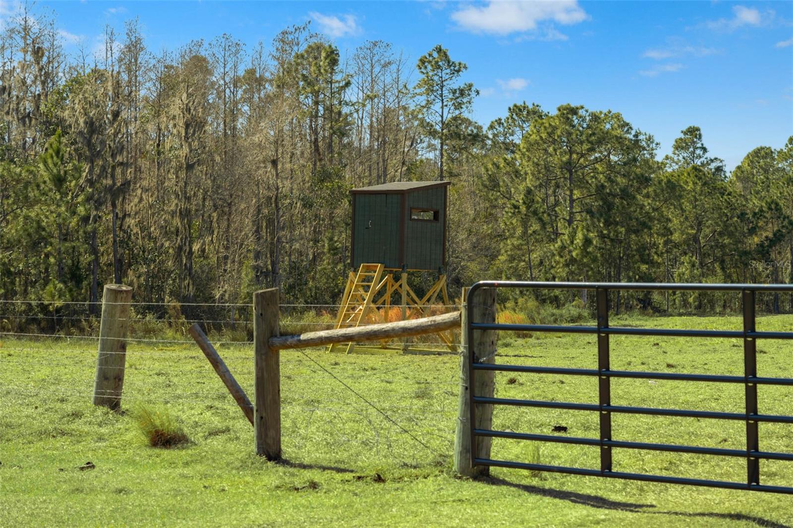 LAKE ERIE RD, GROVELAND, FL — photo 41