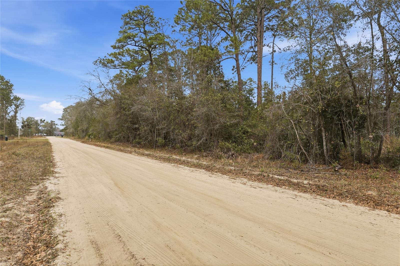 SHARON ST, INTERLACHEN, FL — photo 3