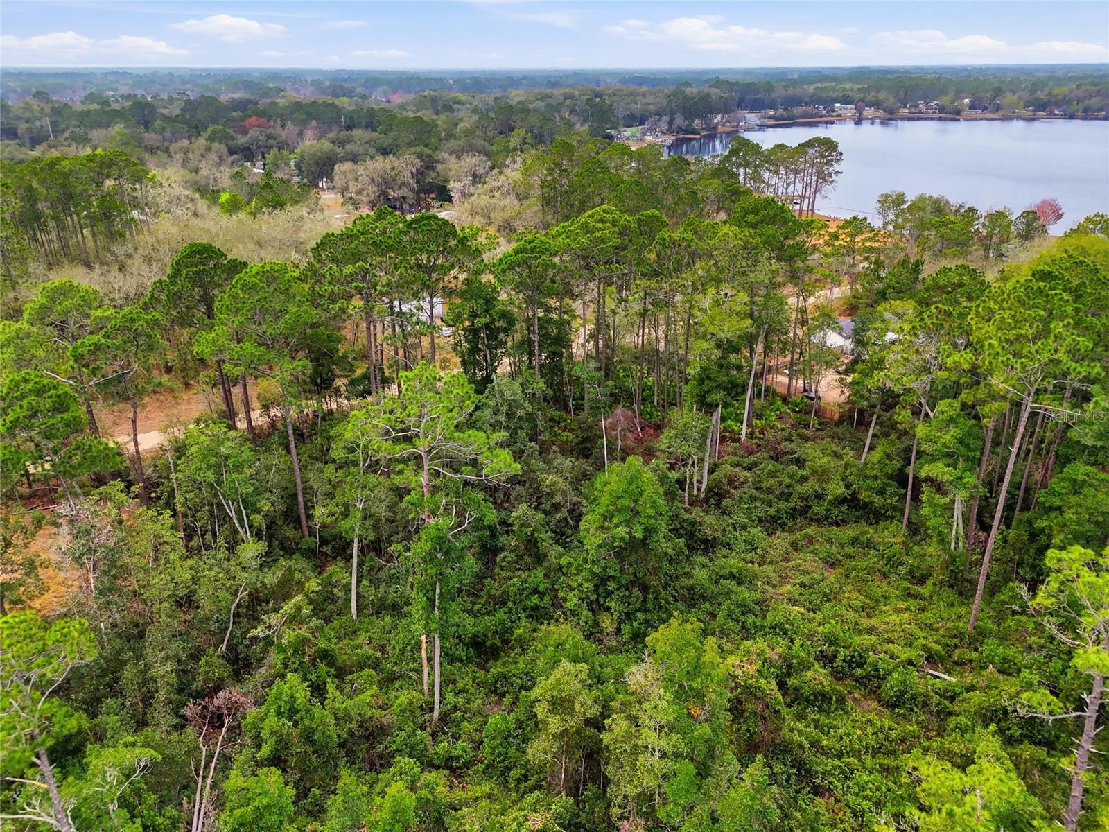 SHARON ST, INTERLACHEN, FL — photo 17