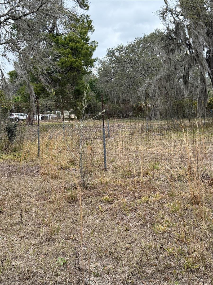 12013 BETHWOOD AVE, NEW PORT RICHEY, FL — photo 7