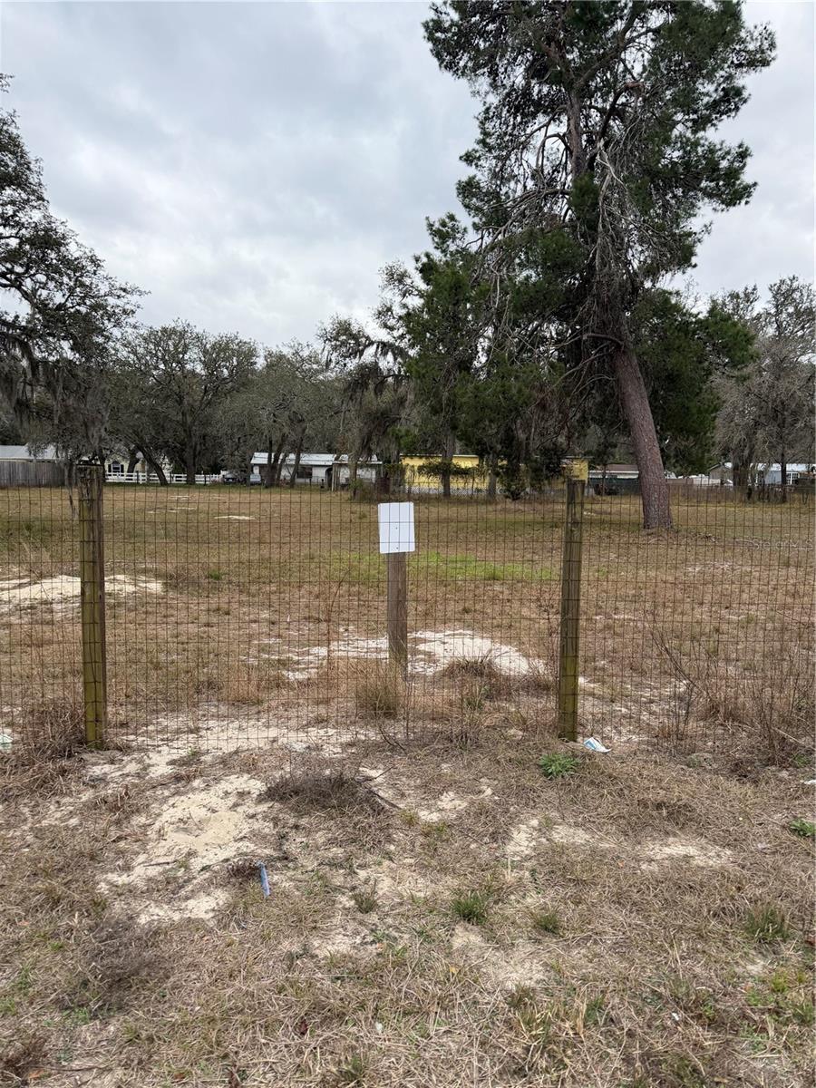 12013 BETHWOOD AVE, NEW PORT RICHEY, FL — photo 8