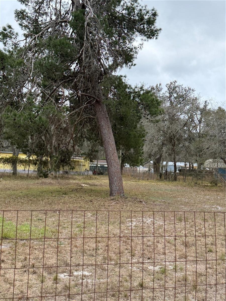12013 BETHWOOD AVE, NEW PORT RICHEY, FL — photo 12