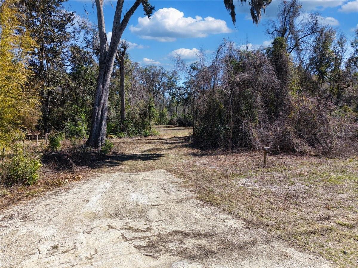 4912 NE HIGHWAY 349, OLD TOWN, FL — photo 4