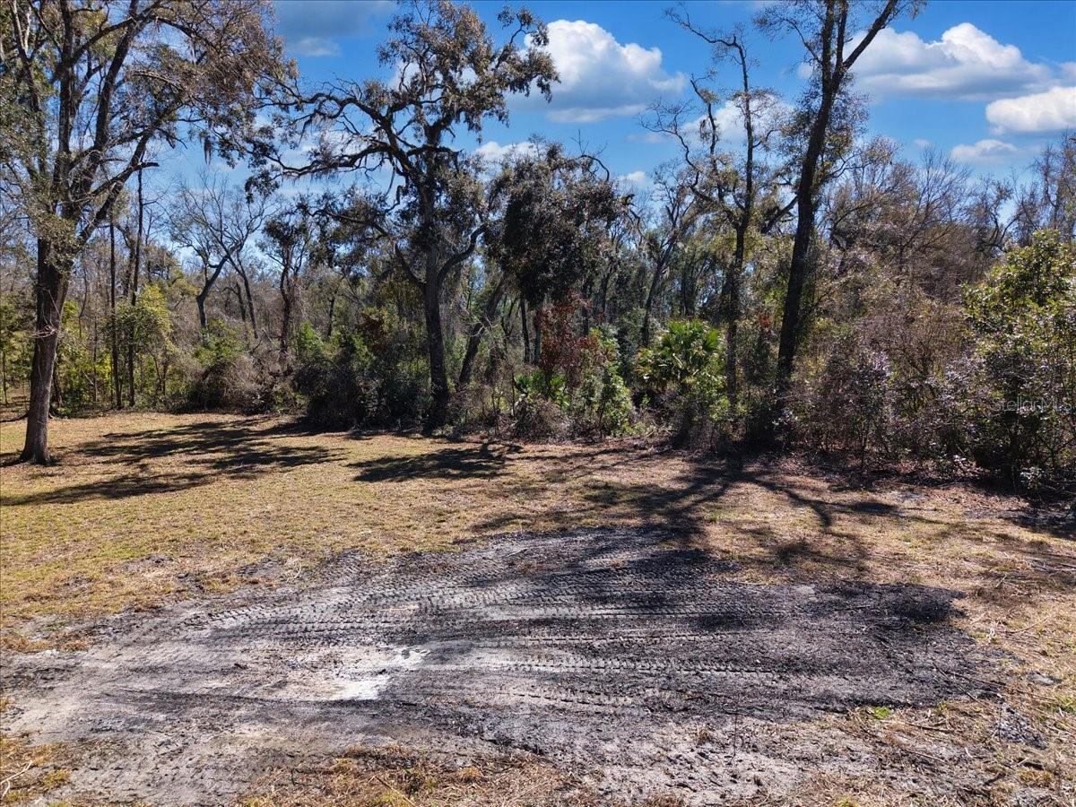 4912 NE HIGHWAY 349, OLD TOWN, FL — photo 6