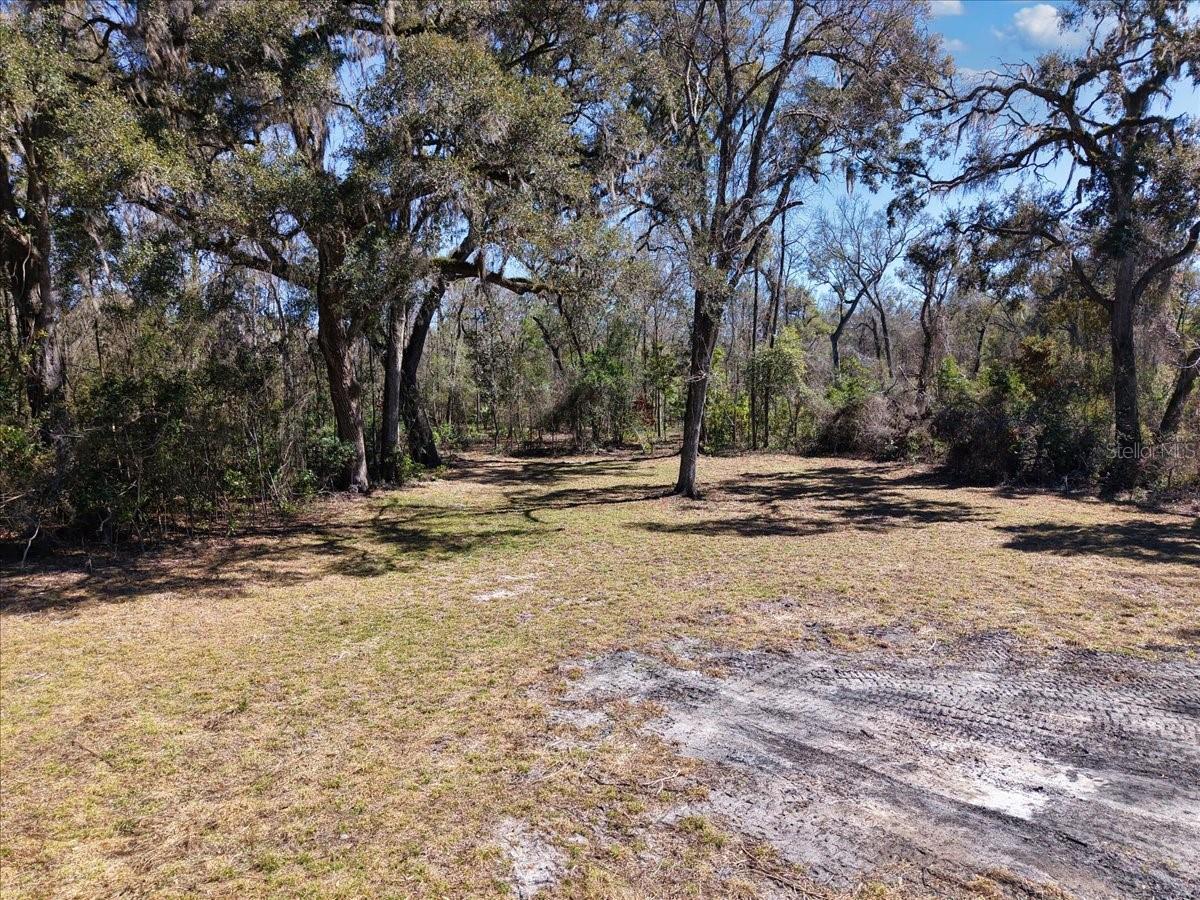 4912 NE HIGHWAY 349, OLD TOWN, FL — photo 7