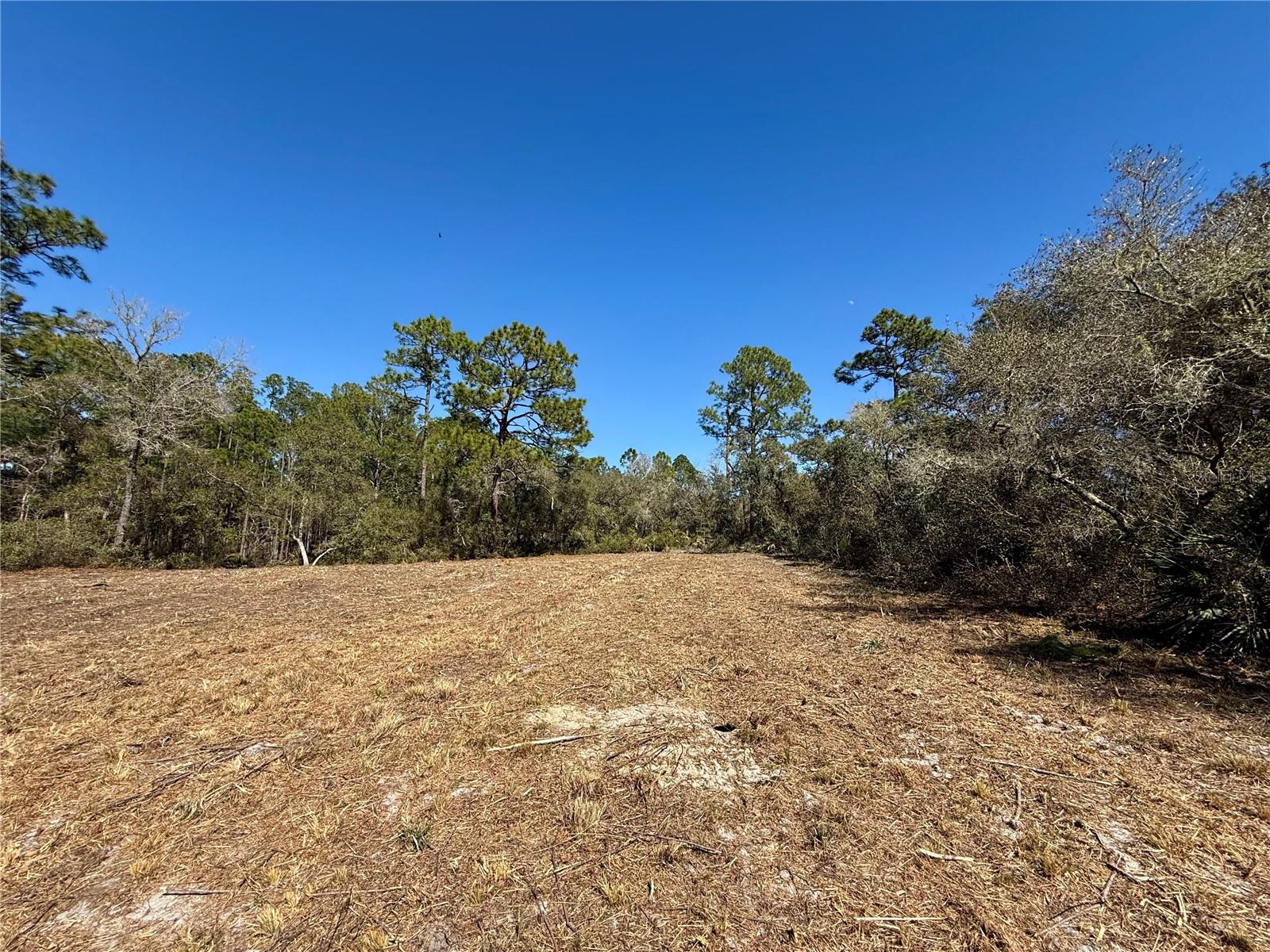 LOT 11 POINCIANA ST, EUSTIS, FL — photo 10