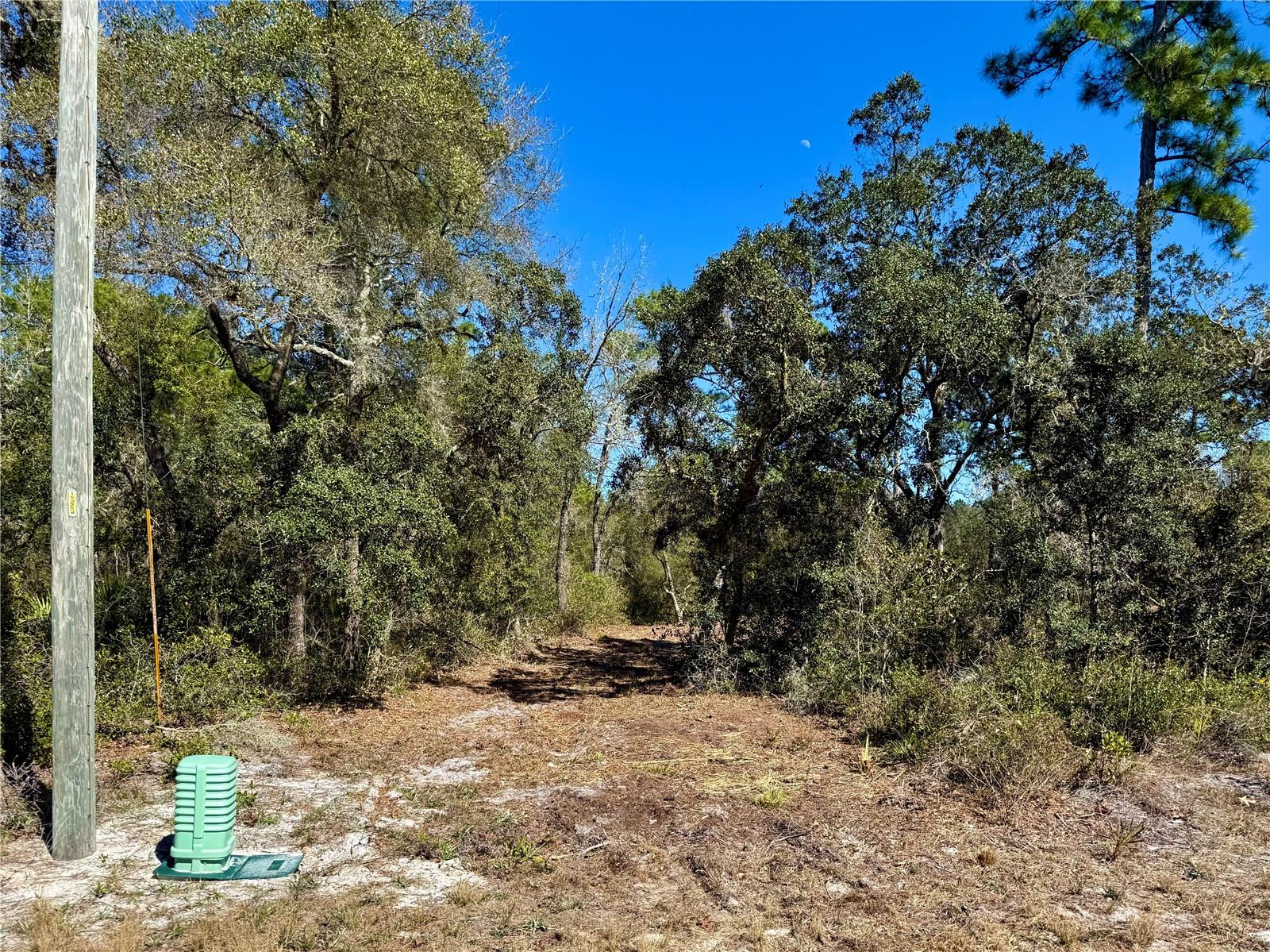 LOT 11 POINCIANA ST, EUSTIS, FL — photo 8