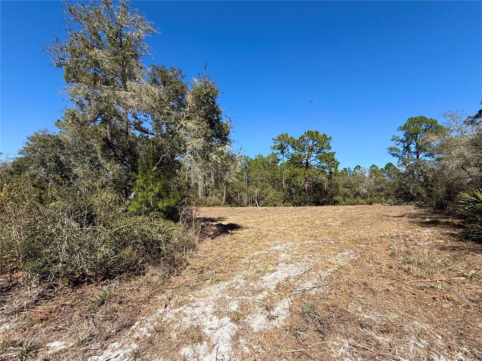 LOT 11 POINCIANA ST, EUSTIS, FL — photo 5