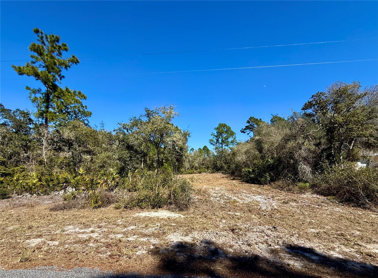LOT 11 POINCIANA ST, EUSTIS, FL — photo 11