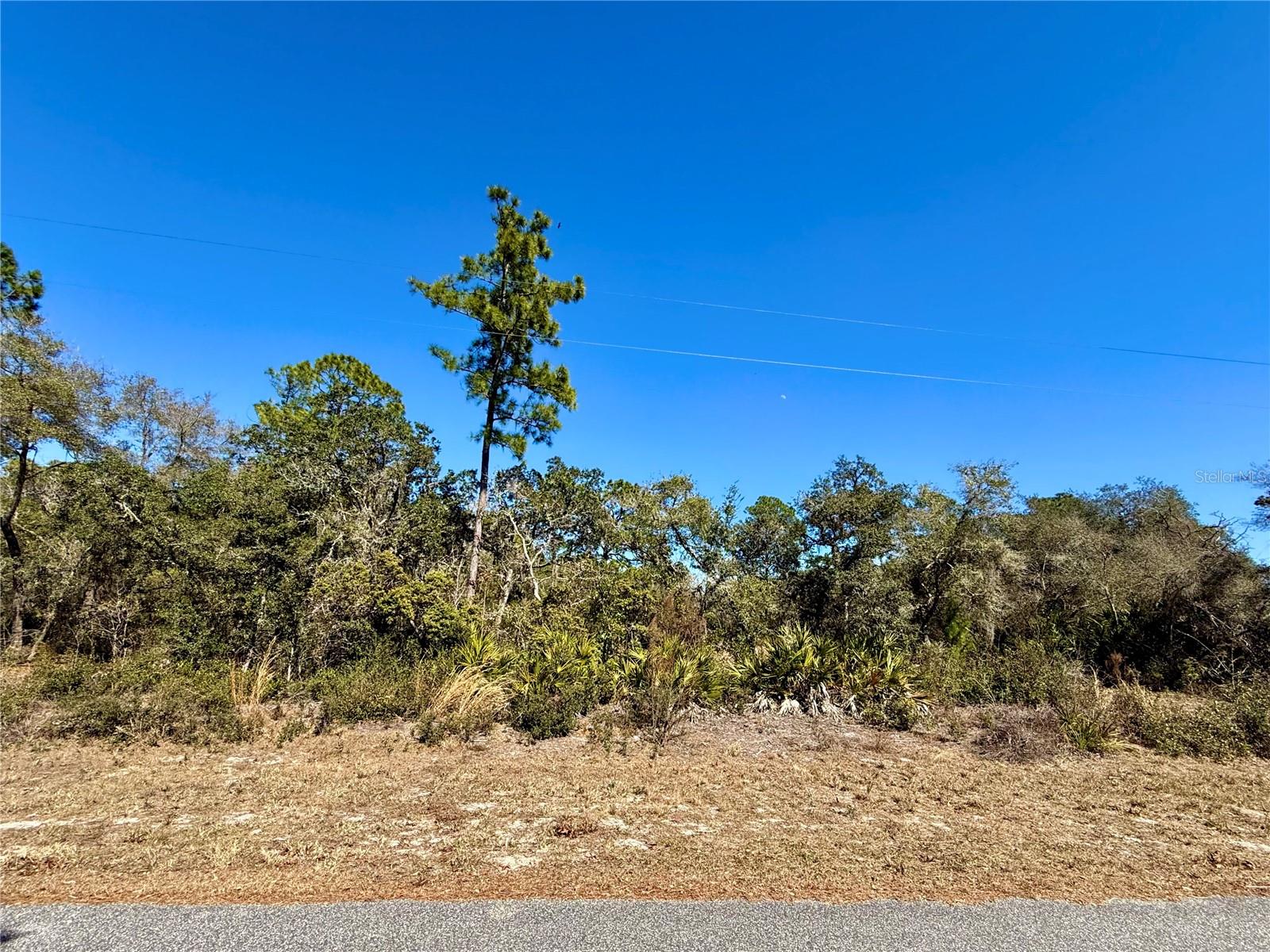 LOT 11 POINCIANA ST, EUSTIS, FL — photo 14