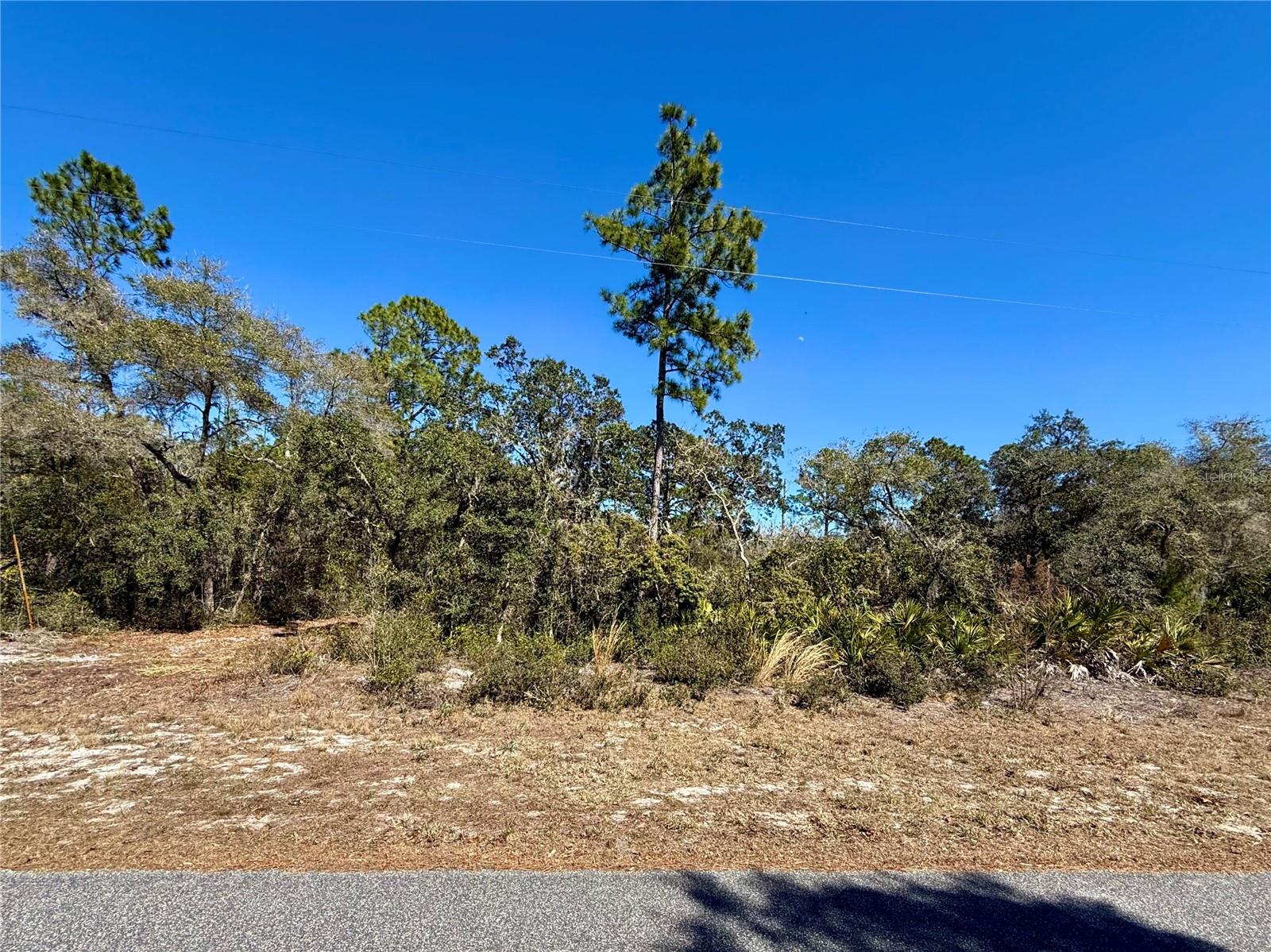 LOT 11 POINCIANA ST, EUSTIS, FL — photo 15