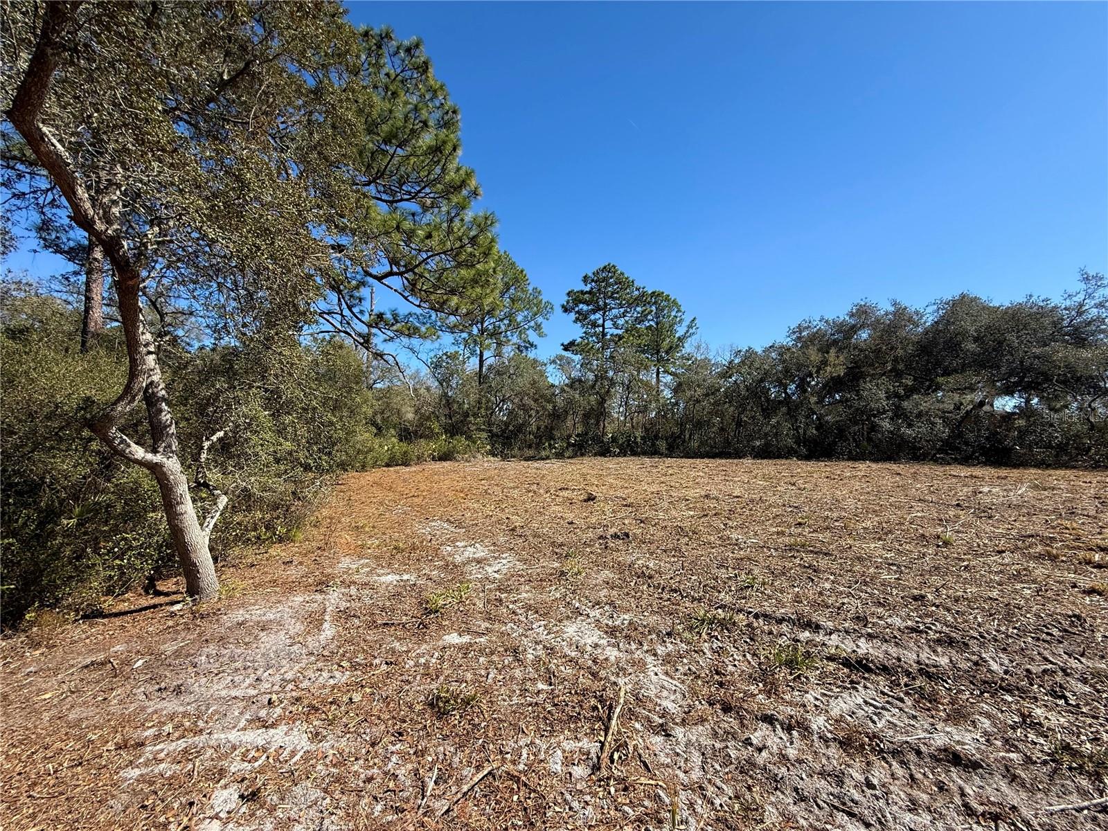 LOT 11 POINCIANA ST, EUSTIS, FL — photo 18