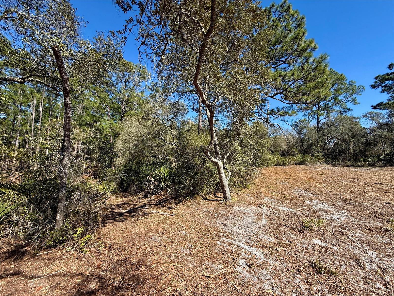 LOT 11 POINCIANA ST, EUSTIS, FL — photo 19