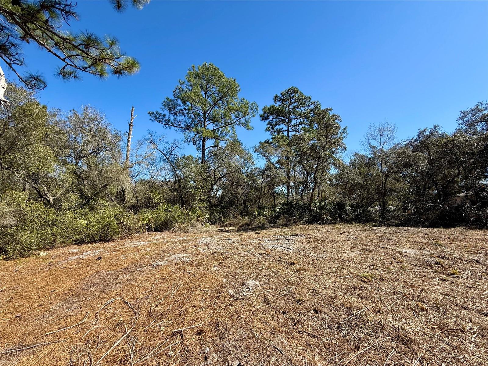 LOT 11 POINCIANA ST, EUSTIS, FL — photo 22
