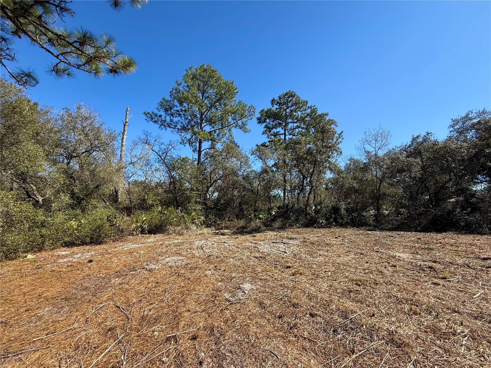 LOT 11 POINCIANA ST, EUSTIS, FL — photo 23
