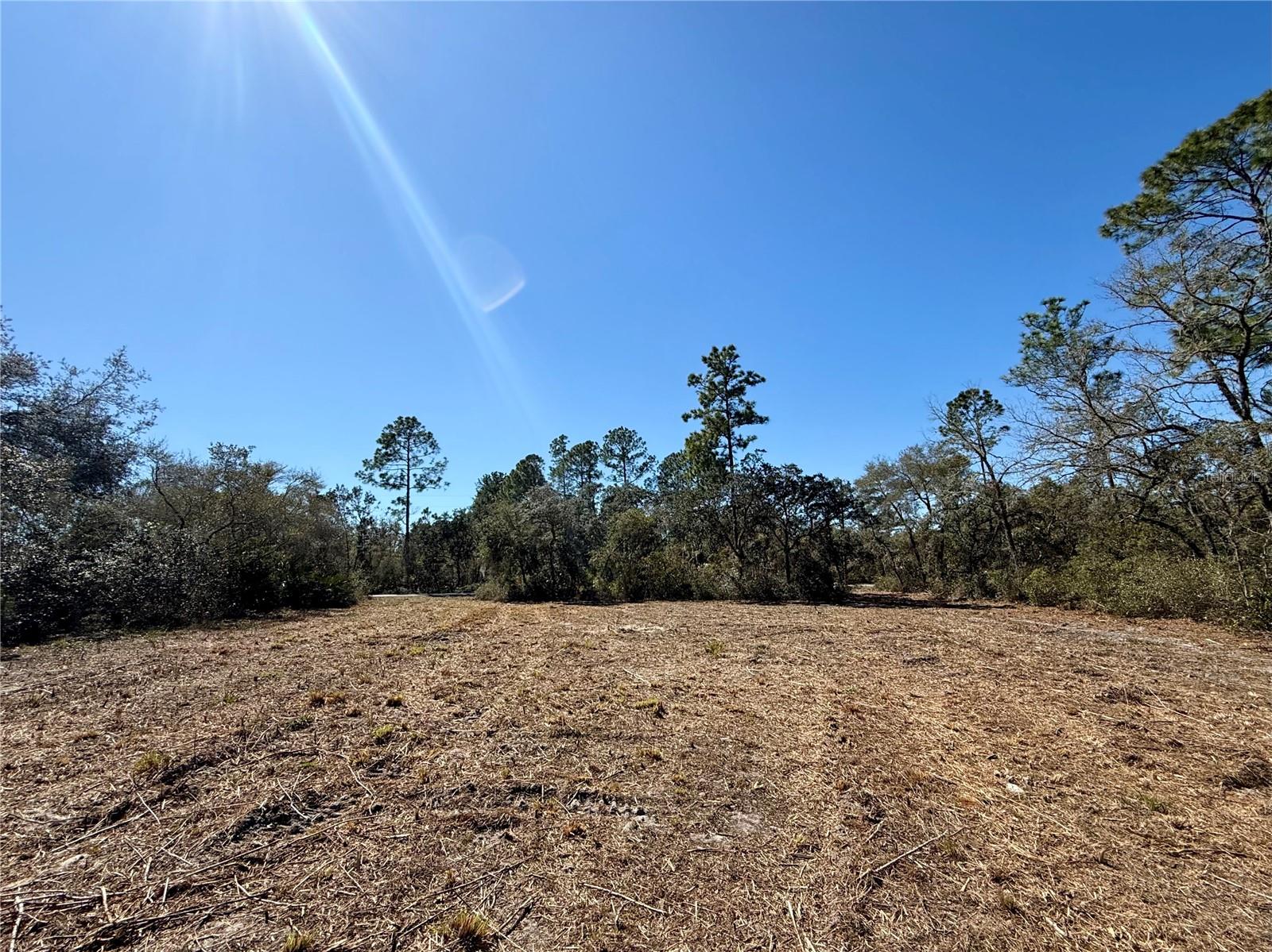 LOT 11 POINCIANA ST, EUSTIS, FL — photo 28