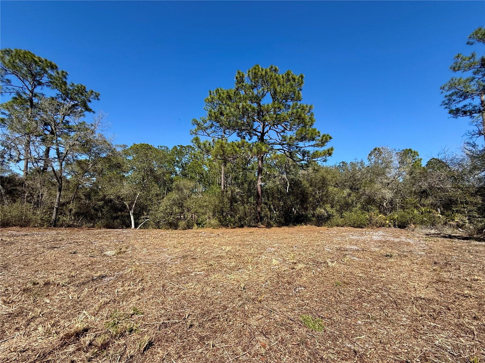 LOT 11 POINCIANA ST, EUSTIS, FL — photo 4