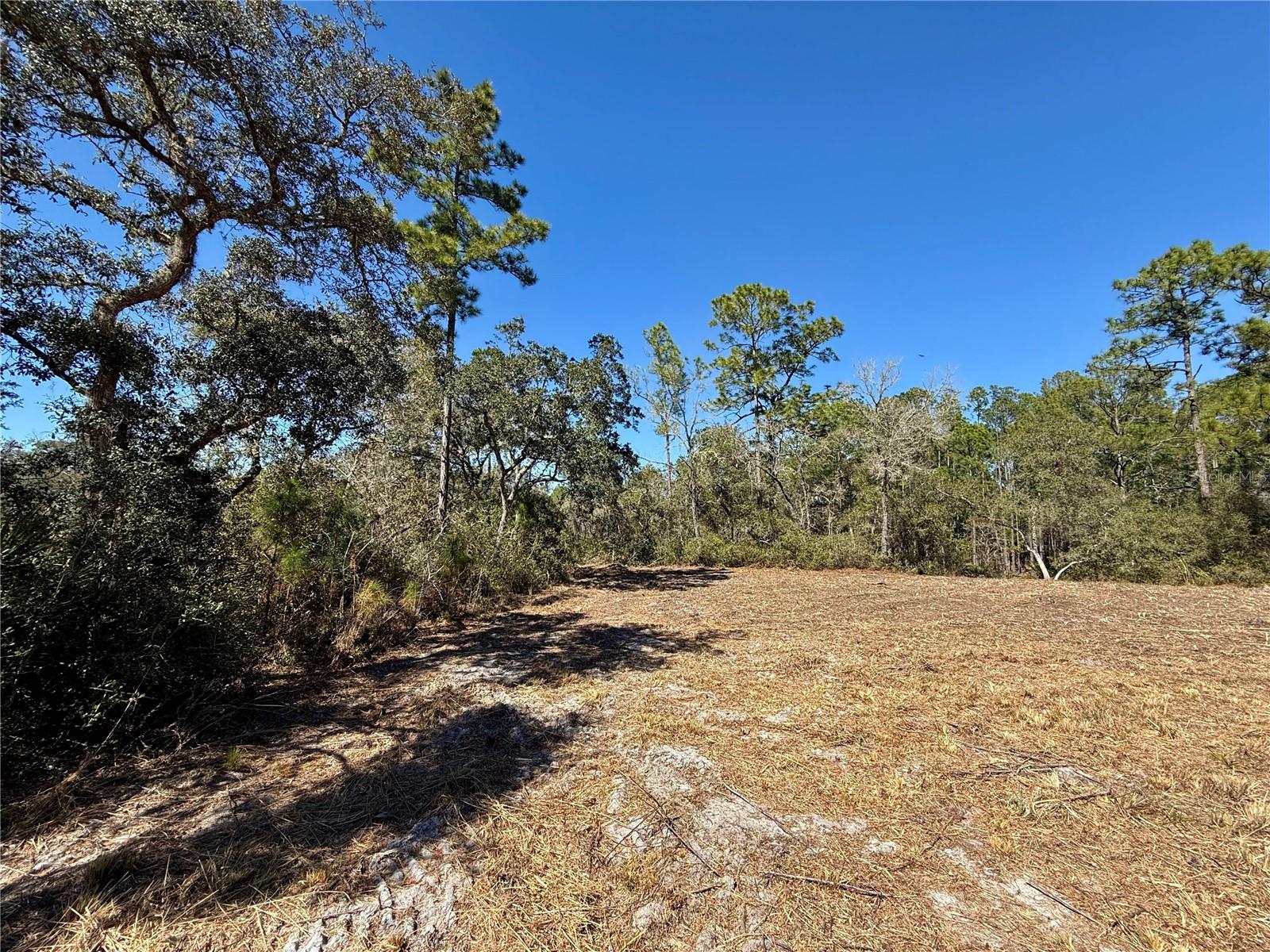 LOT 11 POINCIANA ST, EUSTIS, FL — photo 31