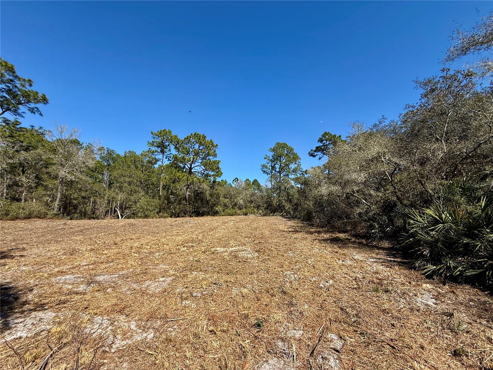LOT 11 POINCIANA ST, EUSTIS, FL — photo 34