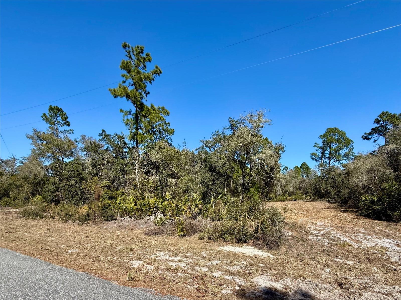 LOT 11 POINCIANA ST, EUSTIS, FL — photo 35