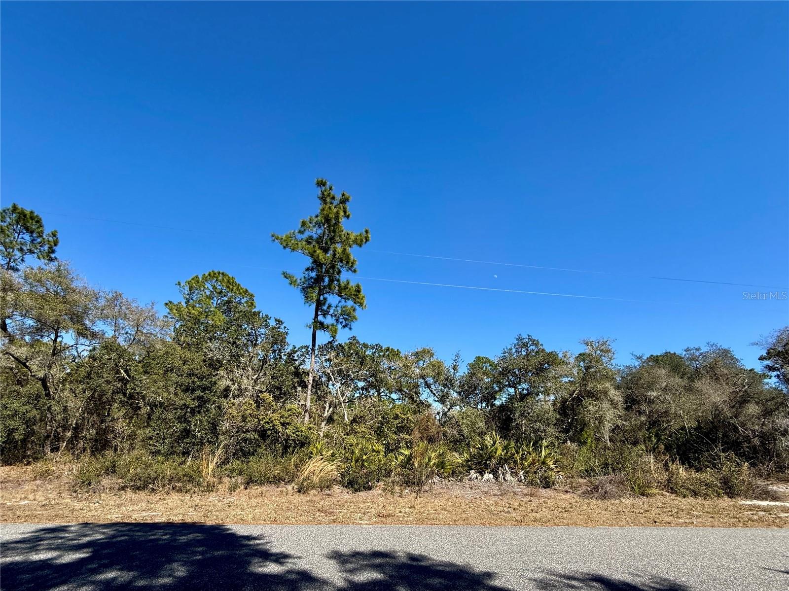 LOT 11 POINCIANA ST, EUSTIS, FL — photo 38