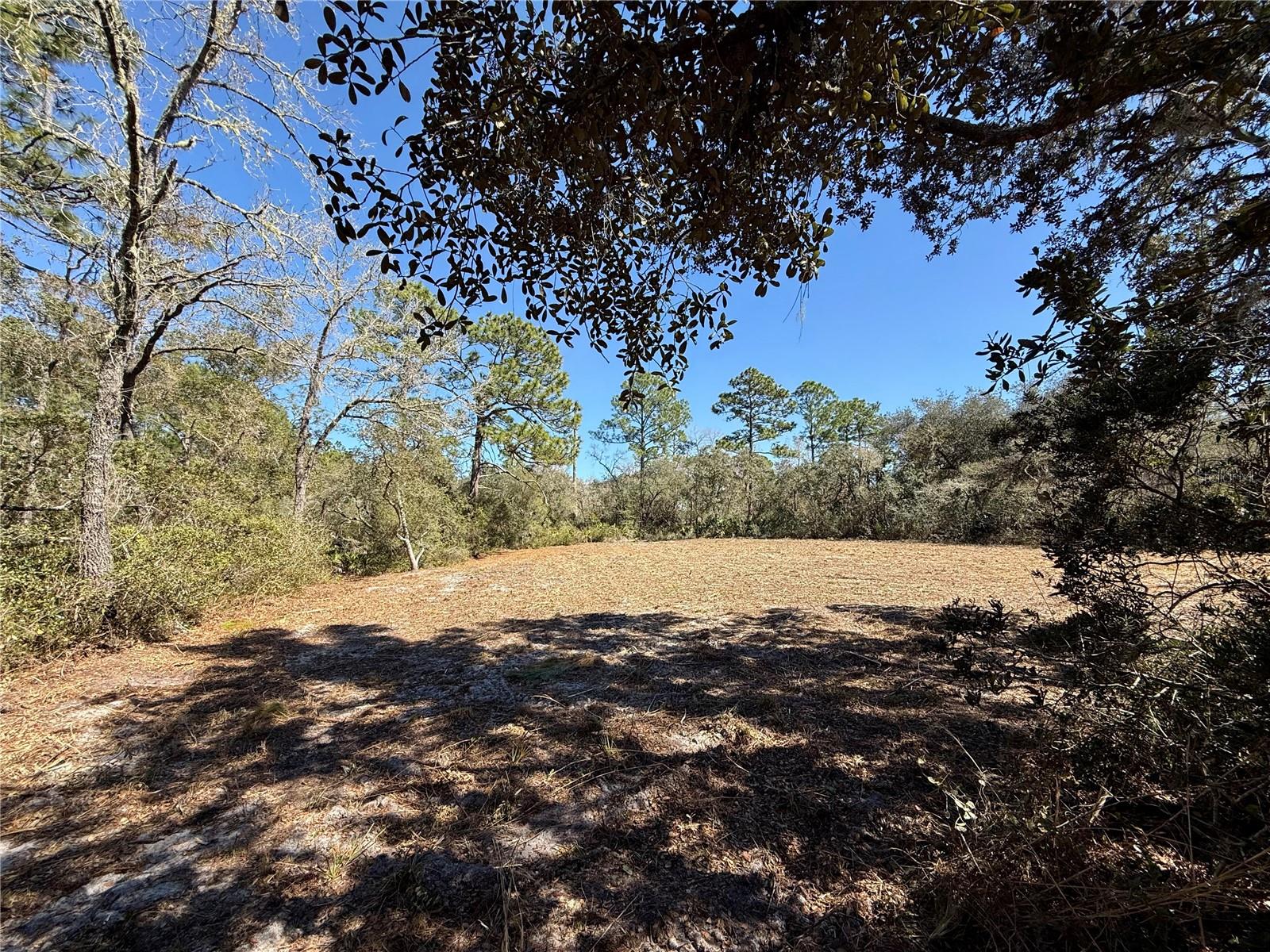 LOT 11 POINCIANA ST, EUSTIS, FL — photo 39