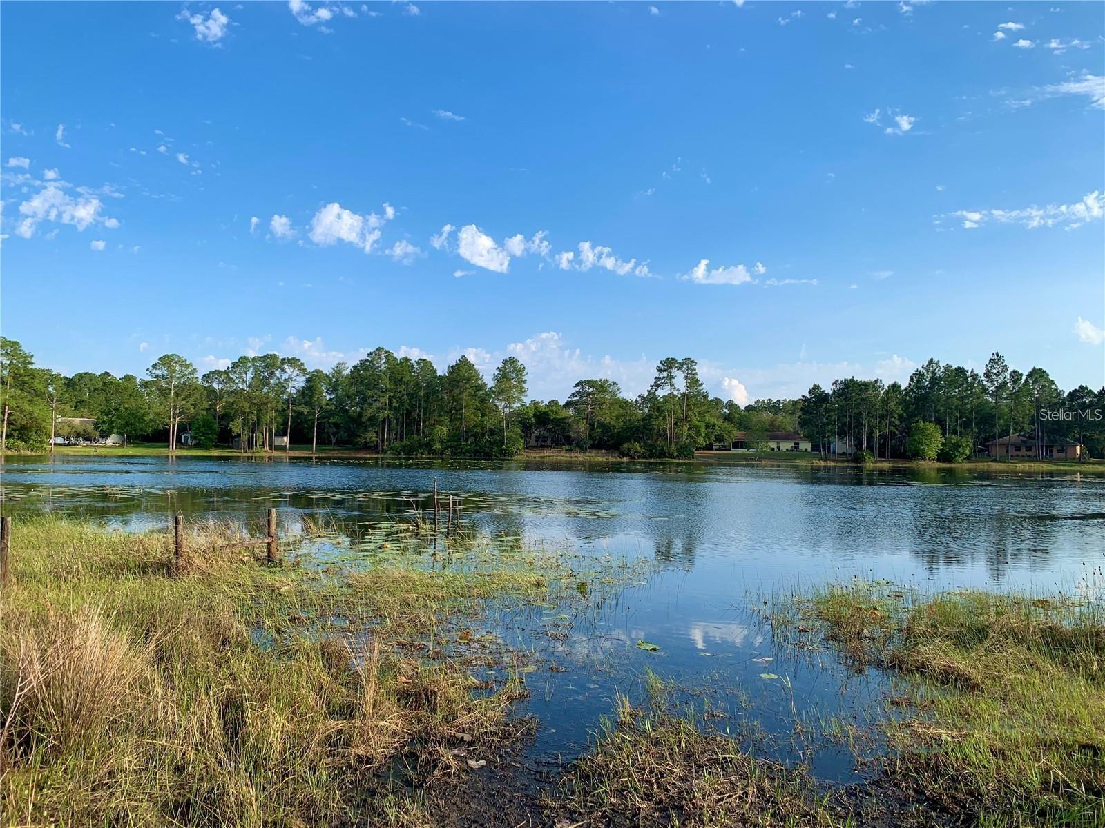 LOT 11 POINCIANA ST, EUSTIS, FL — photo 57