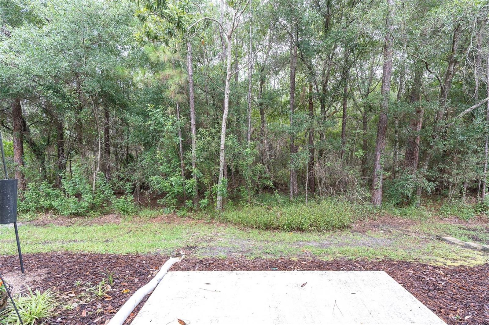 12660 SILVERDALE ST, TAMPA, FL — photo 43