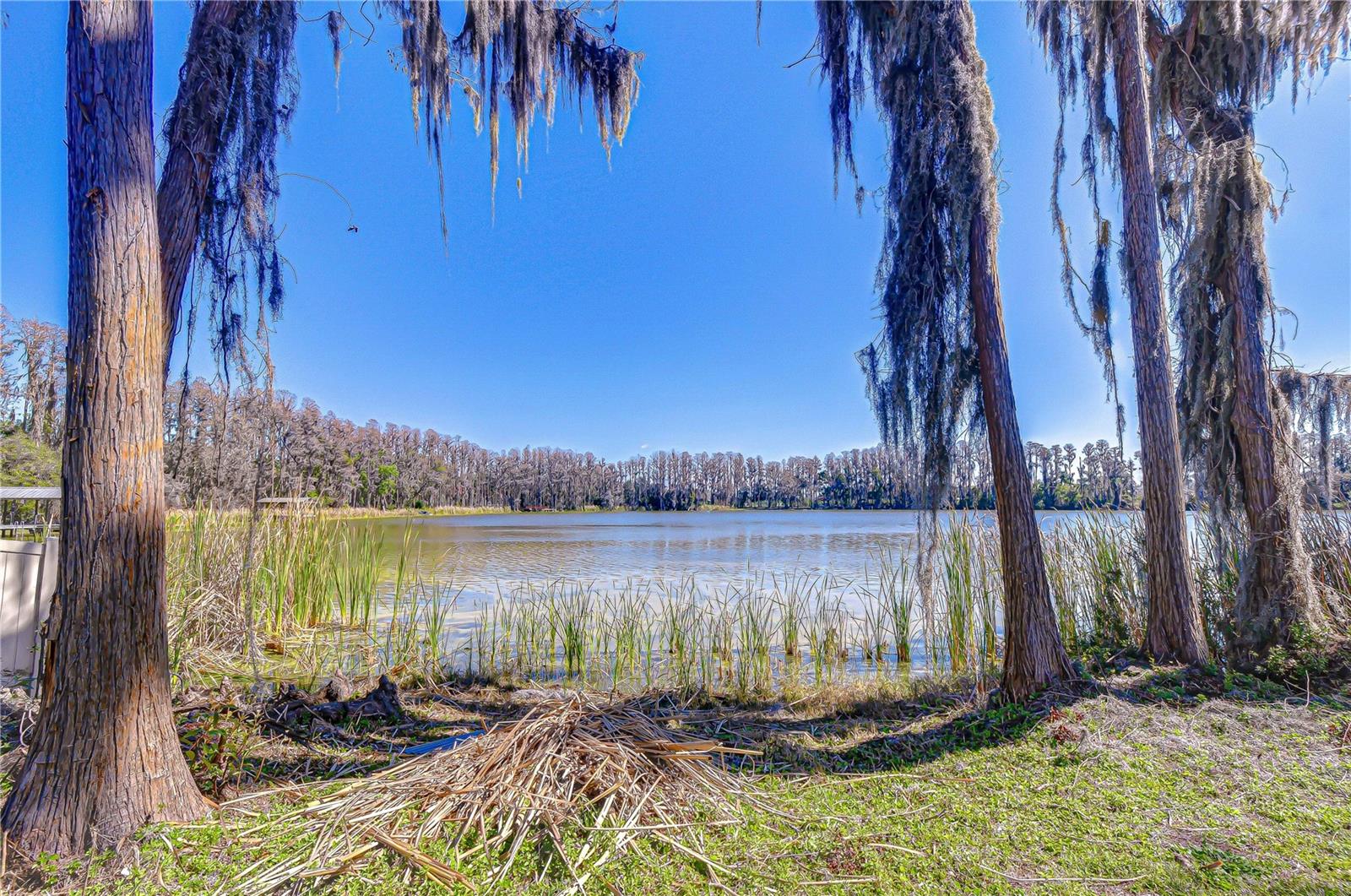 6608 WISTERIA LOOP, LAND O LAKES, FL