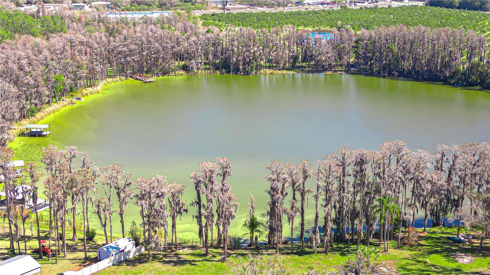 6608 WISTERIA LOOP, LAND O LAKES, FL — photo 16
