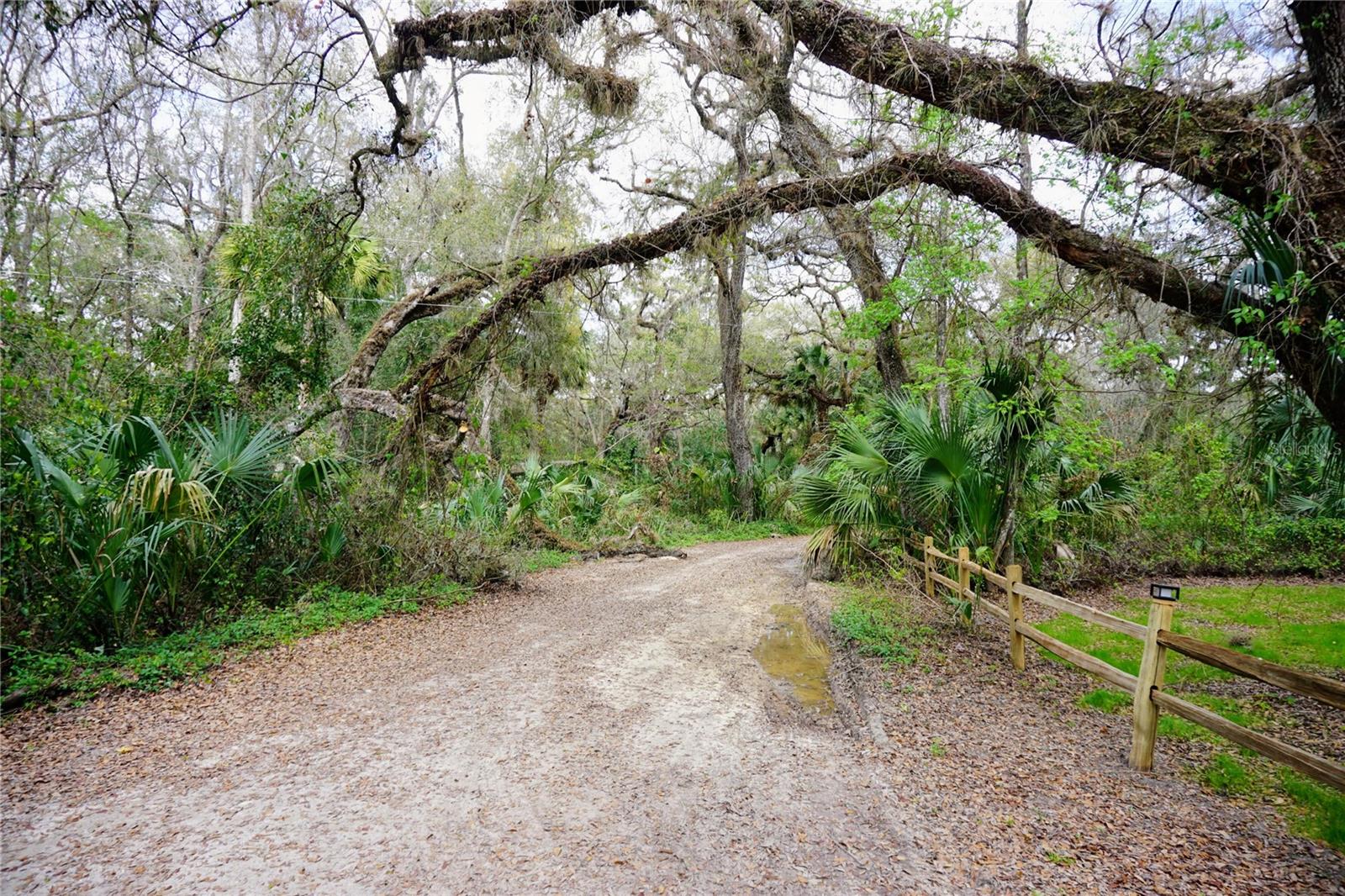 6880 E CHANNEL DR, HERNANDO, FL — photo 45