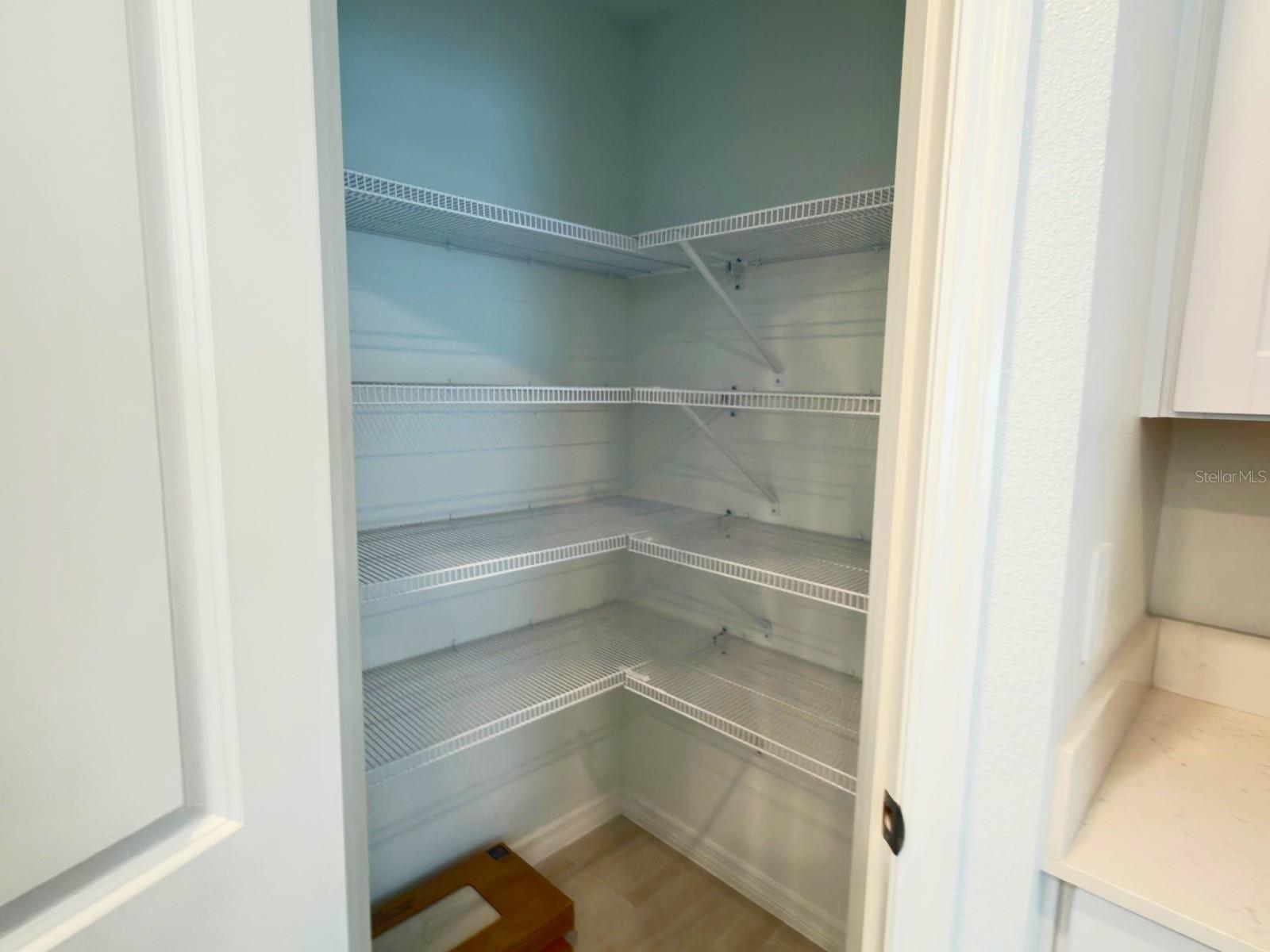 2318 ALLIUM ROSEUM LN, PLANT CITY, FL — photo 14