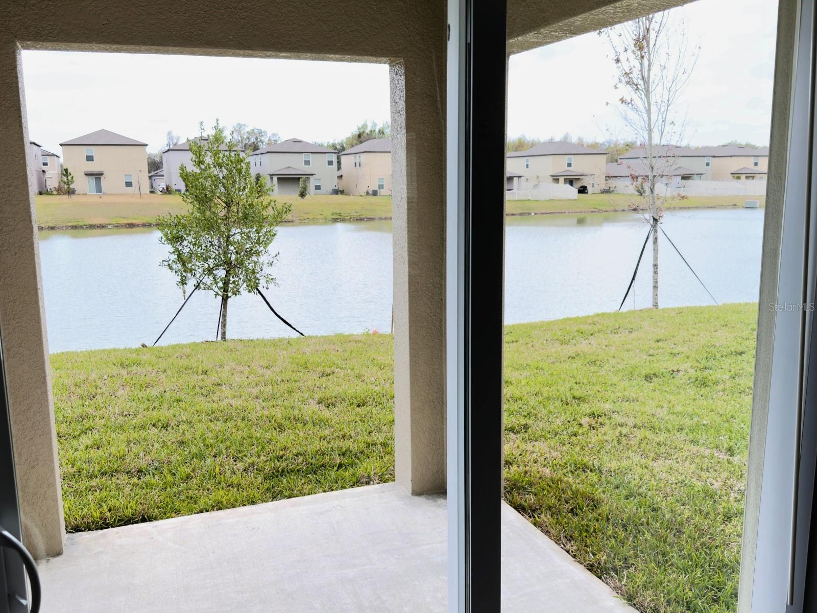 2318 ALLIUM ROSEUM LN, PLANT CITY, FL — photo 28