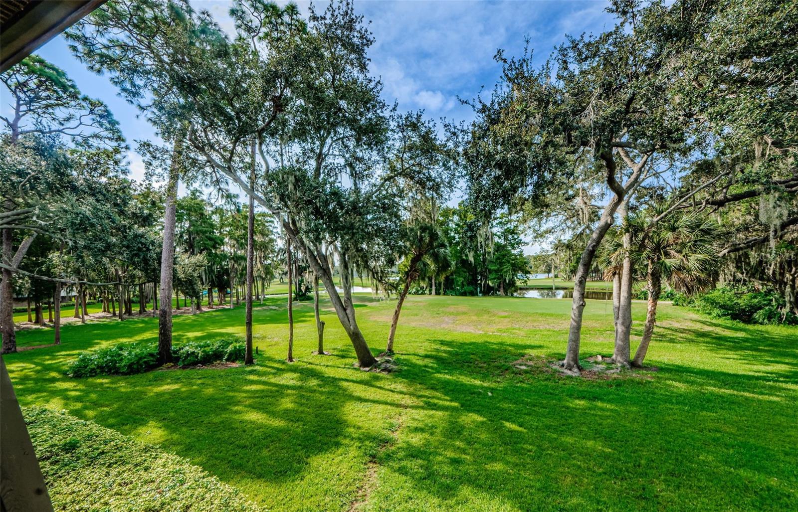 36750 US HIGHWAY 19 N #2177, PALM HARBOR, FL — photo 2