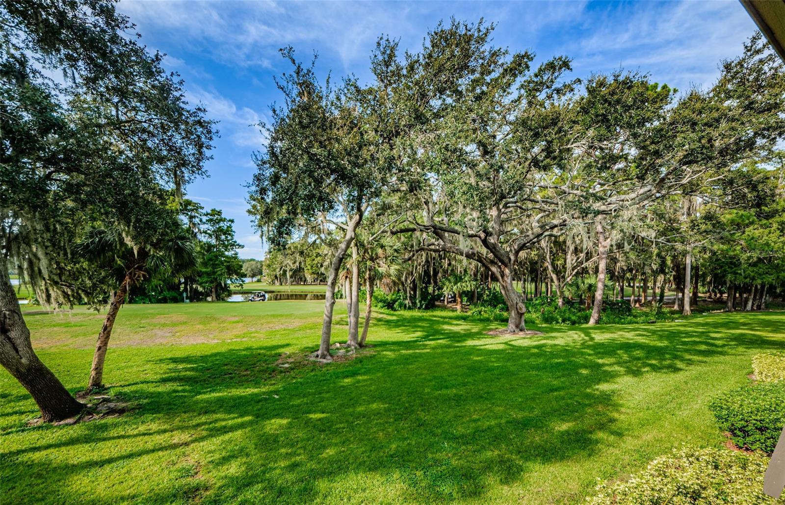 36750 US HIGHWAY 19 N #2177, PALM HARBOR, FL — photo 3