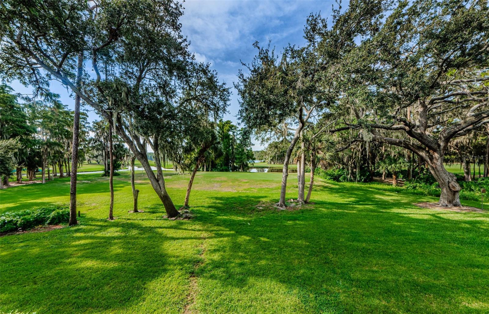 36750 US HIGHWAY 19 N #2177, PALM HARBOR, FL — photo 4