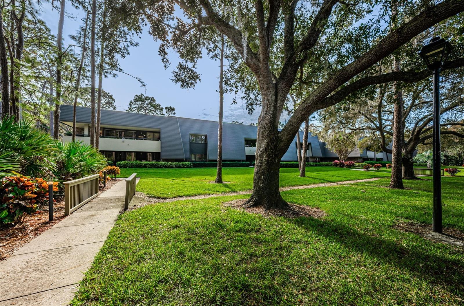 36750 US HIGHWAY 19 N #2177, PALM HARBOR, FL — photo 41