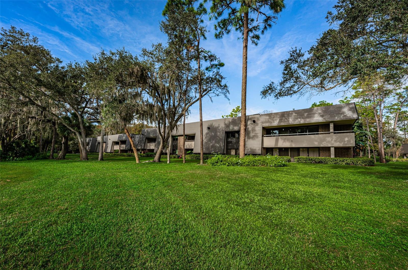 36750 US HIGHWAY 19 N #2177, PALM HARBOR, FL — photo 52
