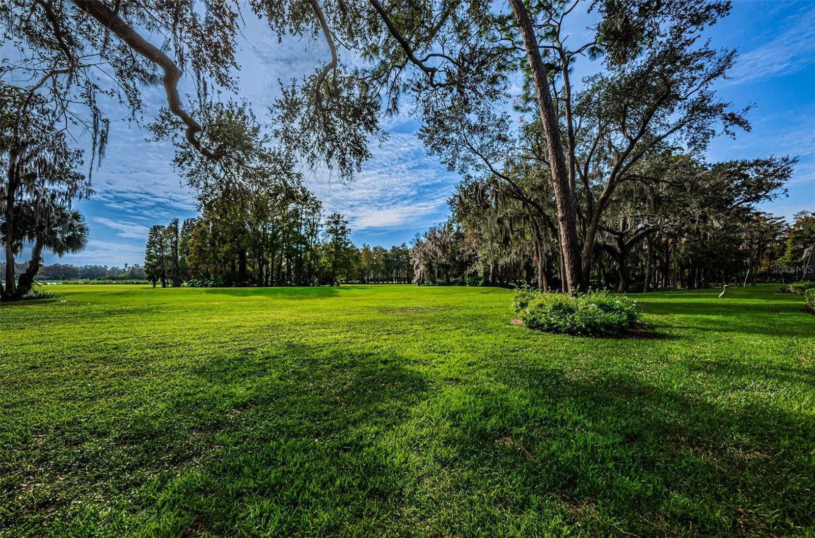 36750 US HIGHWAY 19 N #2177, PALM HARBOR, FL — photo 53
