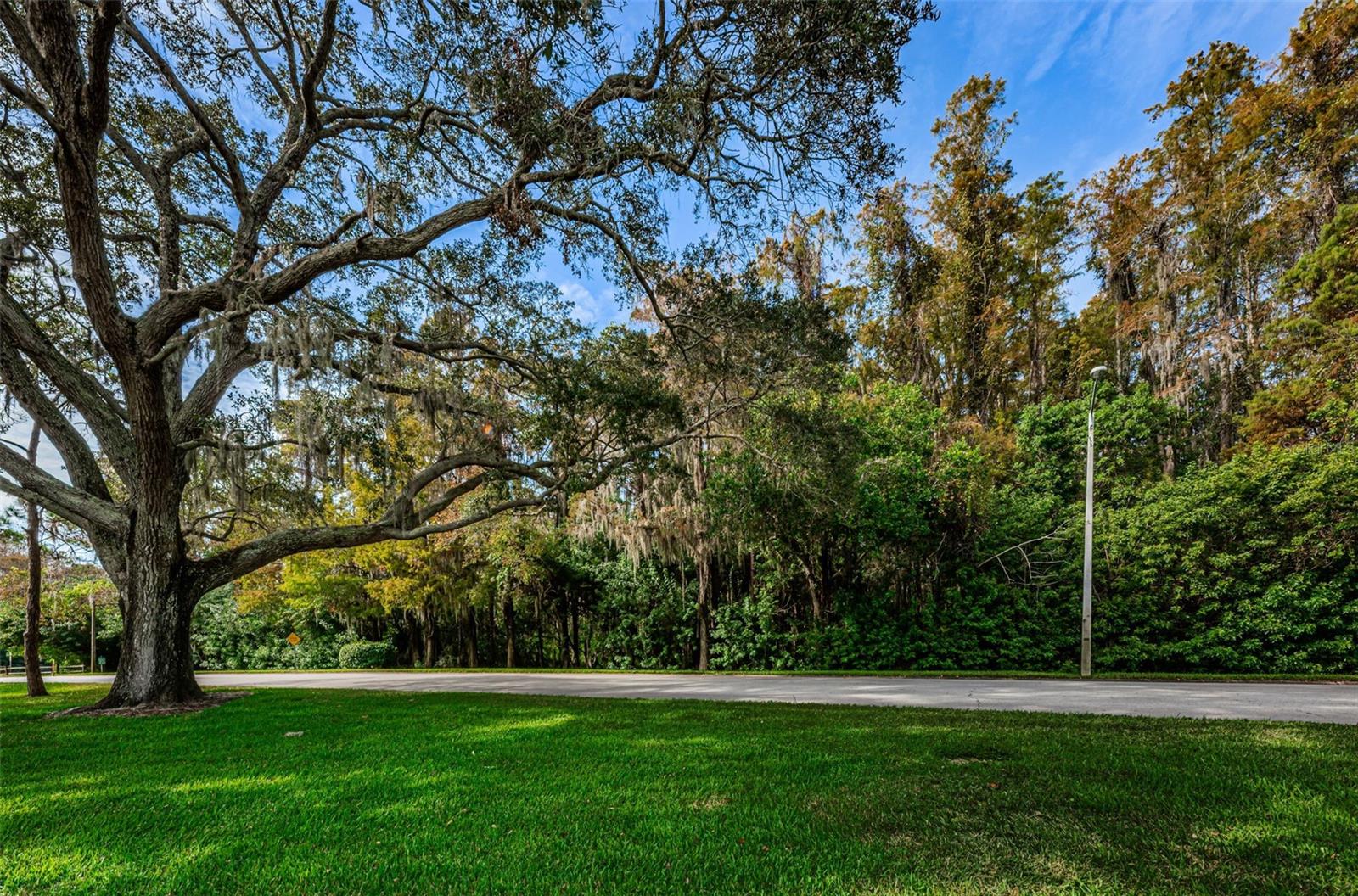 36750 US HIGHWAY 19 N #2177, PALM HARBOR, FL — photo 55