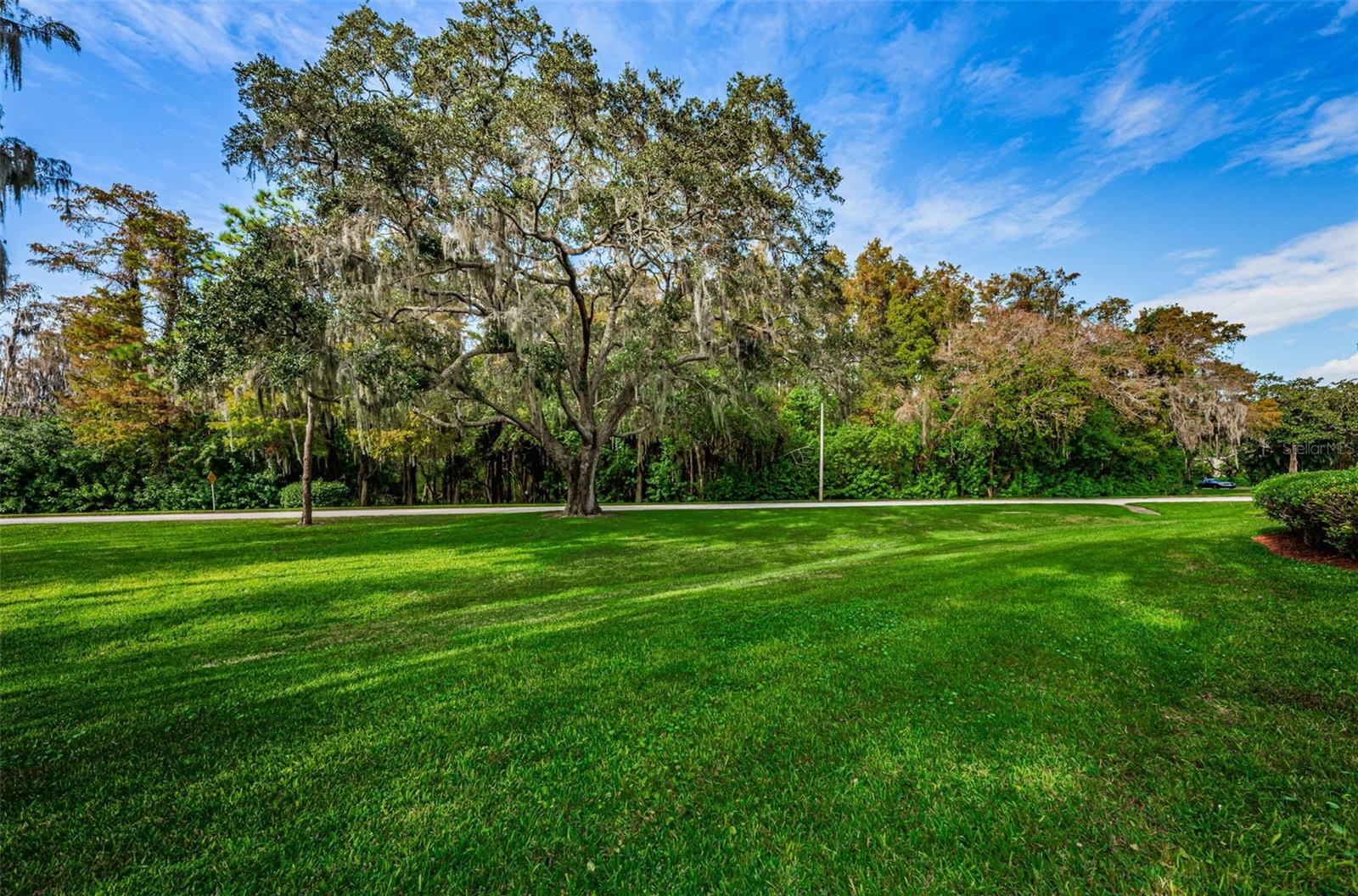 36750 US HIGHWAY 19 N #2177, PALM HARBOR, FL — photo 56