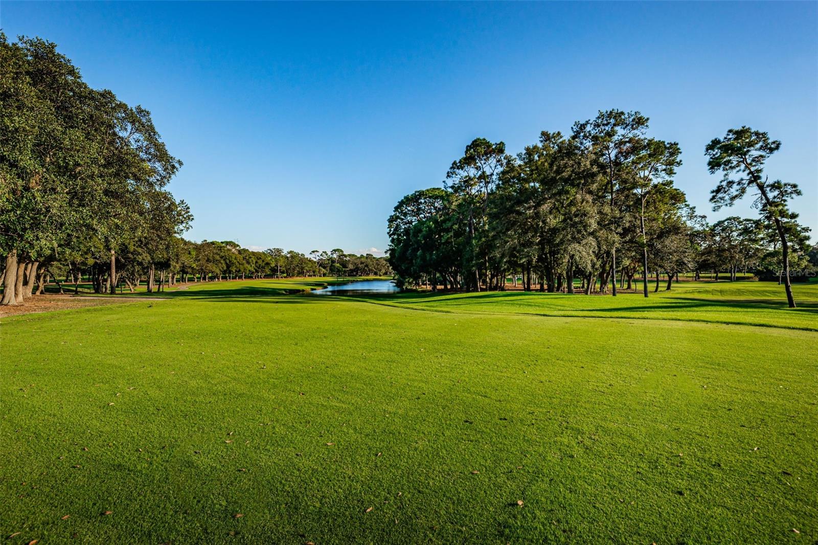 36750 US HIGHWAY 19 N #2177, PALM HARBOR, FL — photo 76