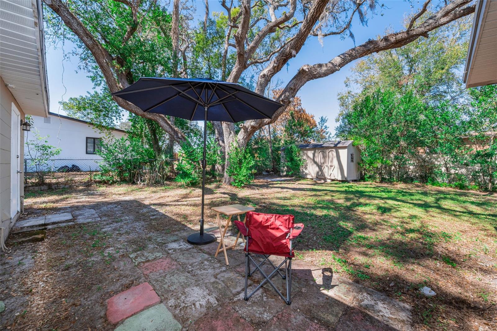 206 LINDA AVE, TEMPLE TERRACE, FL — photo 40