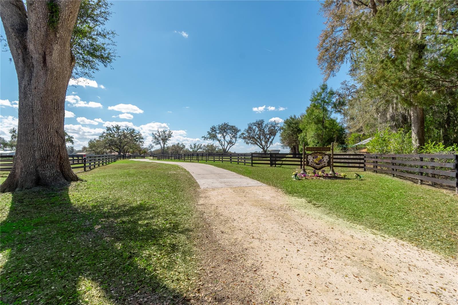 4700 NW 157TH CT, MORRISTON, FL — photo 13