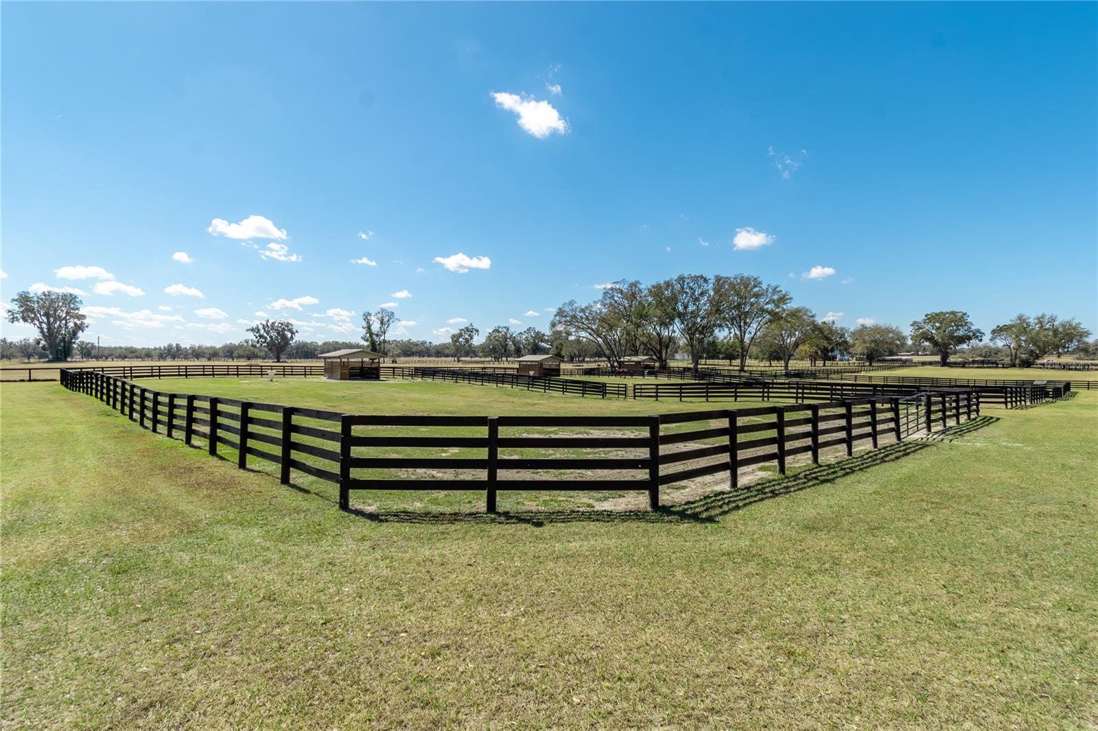 4700 NW 157TH CT, MORRISTON, FL — photo 10