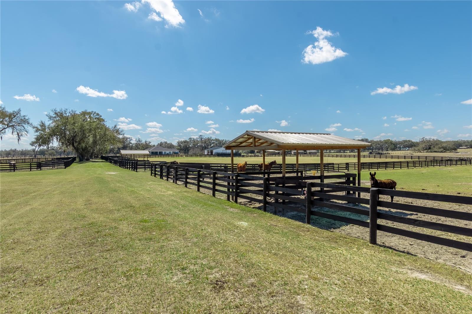 4700 NW 157TH CT, MORRISTON, FL — photo 65