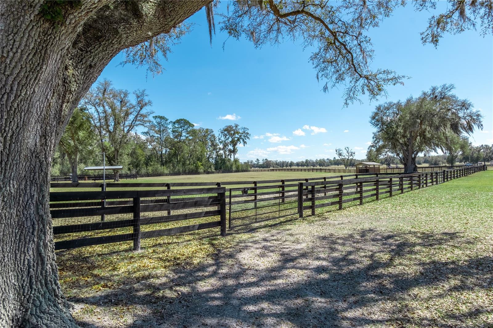 4700 NW 157TH CT, MORRISTON, FL — photo 82