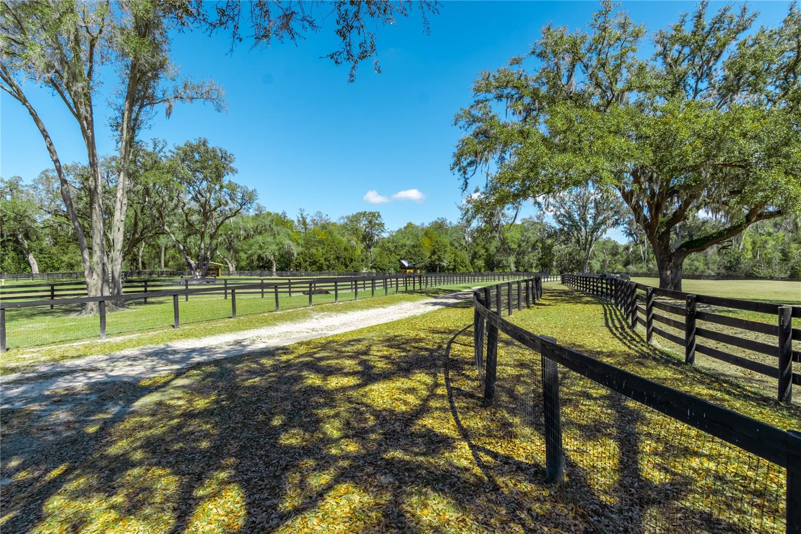 4700 NW 157TH CT, MORRISTON, FL — photo 83