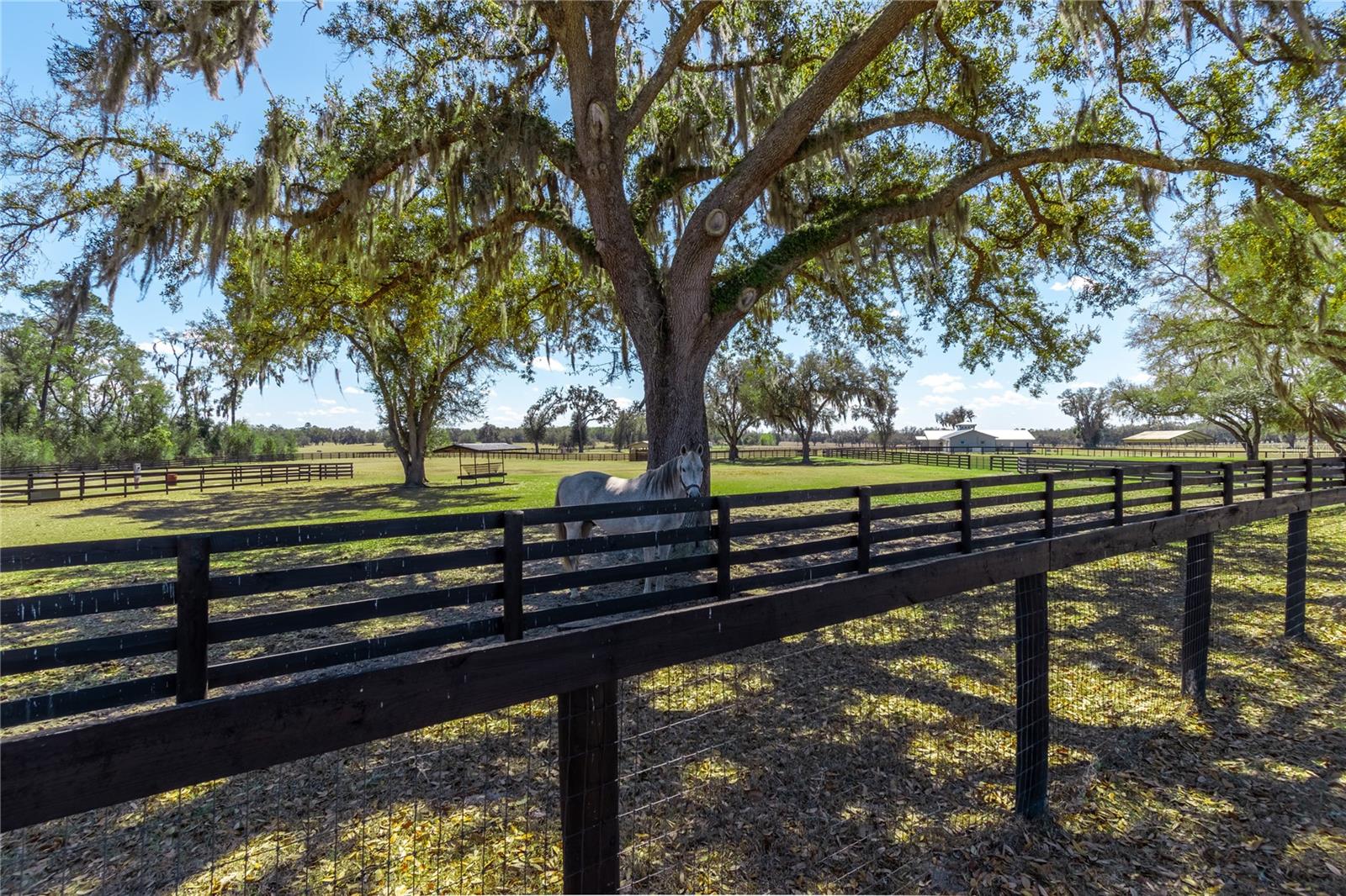 4700 NW 157TH CT, MORRISTON, FL — photo 85