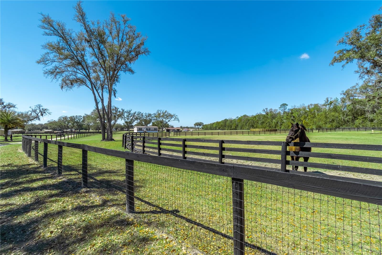 4700 NW 157TH CT, MORRISTON, FL — photo 86